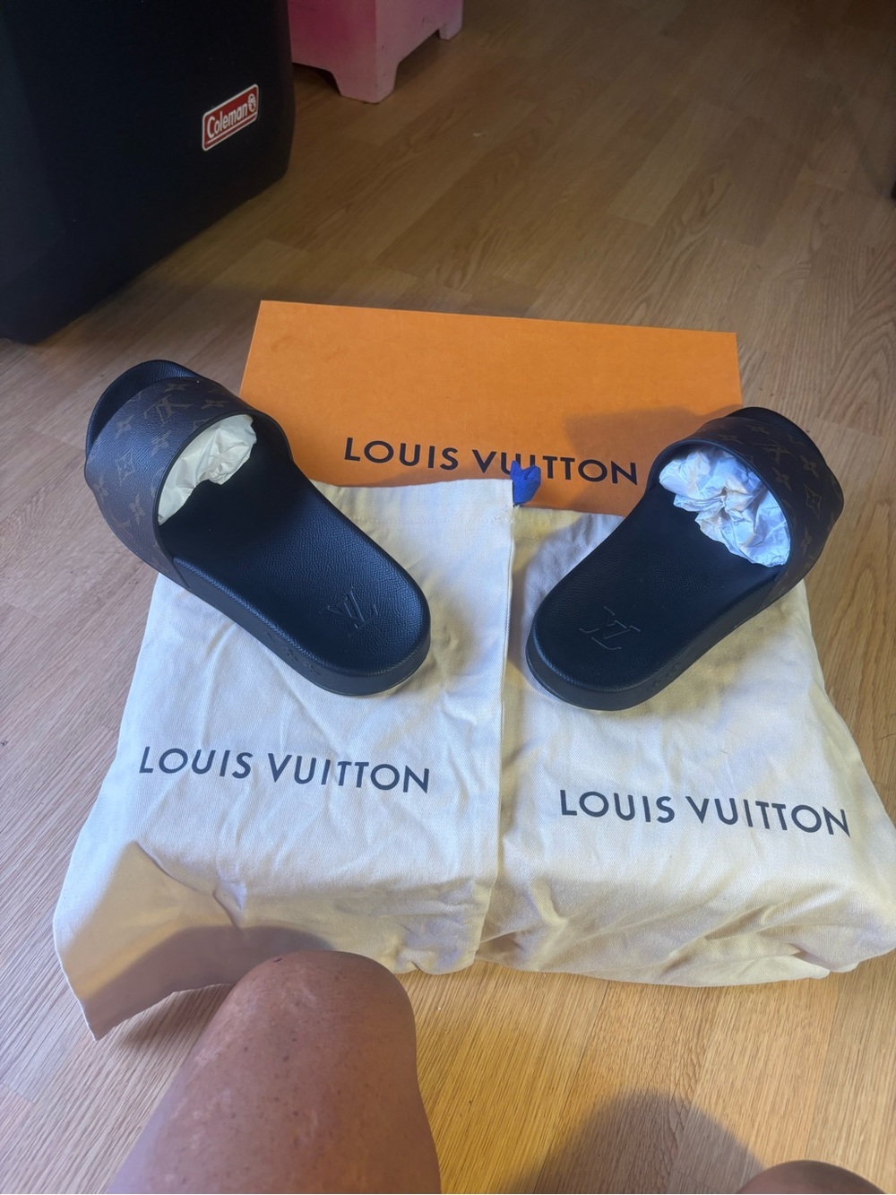 Louis Vuitton Monogram Waterfront Mule Slide in Brown and Black